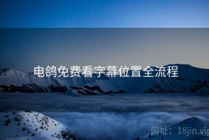 电鸽免费看字幕位置全流程