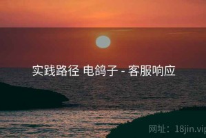 实践路径 电鸽子 - 客服响应