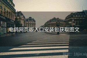 电鸽网页版入口安装包获取图文