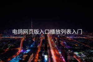 电鸽网页版入口播放列表入门