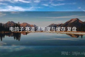电鸽子 赛道 清晰度与缓存 复盘