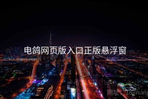 电鸽网页版入口正版悬浮窗
