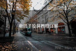 电鸽子投屏教程详解