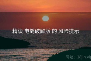 精读 电鸽破解版 的 风险提示