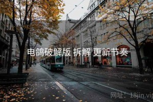 电鸽破解版 拆解 更新节奏