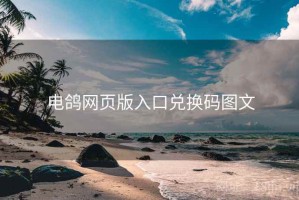 电鸽网页版入口兑换码图文