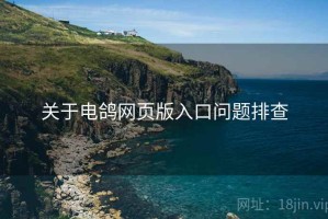 关于电鸽网页版入口问题排查