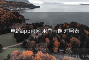 电鸽app官网 用户画像 对照表