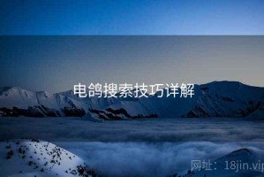 电鸽搜索技巧详解