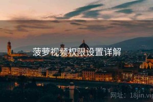 菠萝视频权限设置详解