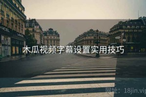 木瓜视频字幕设置实用技巧