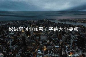 秘语空间小徐崽子字幕大小要点