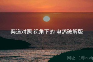 渠道对照 视角下的 电鸽破解版