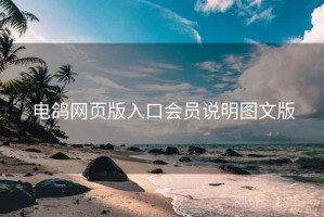 电鸽网页版入口会员说明图文版