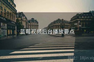 蓝莓视频后台播放要点