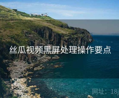 丝瓜视频黑屏处理操作要点