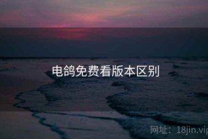 电鸽免费看版本区别