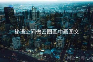 秘语空间微密圈画中画图文