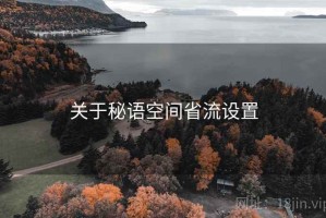 关于秘语空间省流设置