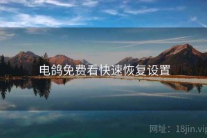 电鸽免费看快速恢复设置