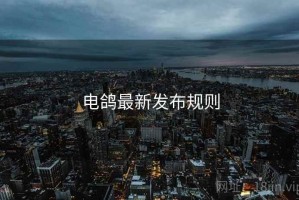 电鸽最新发布规则