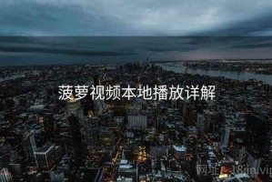 菠萝视频本地播放详解