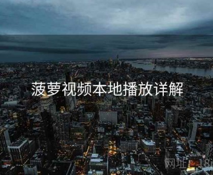 菠萝视频本地播放详解