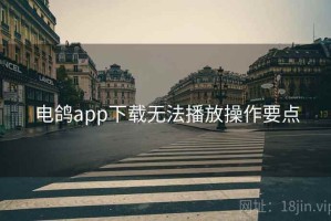 电鸽app下载无法播放操作要点