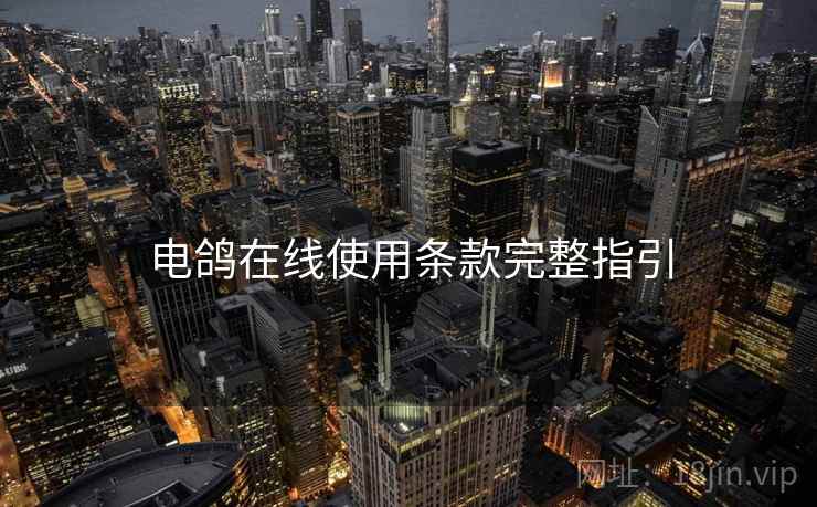 电鸽在线使用条款完整指引