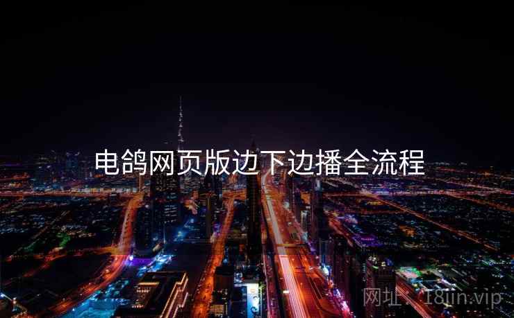 电鸽网页版边下边播全流程