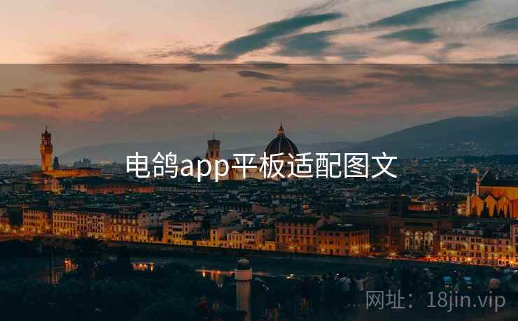 电鸽app平板适配图文