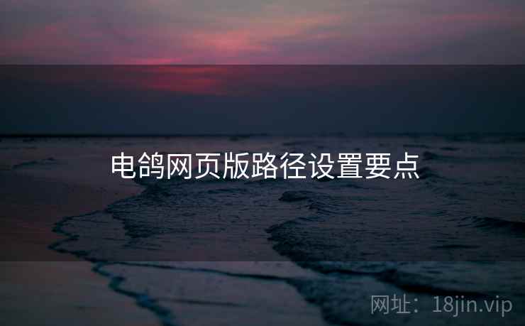 电鸽网页版路径设置要点