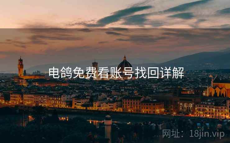电鸽免费看账号找回详解