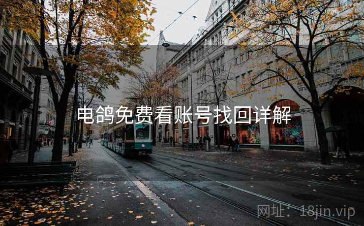 电鸽免费看账号找回详解