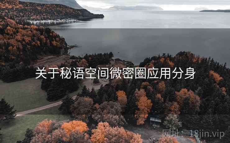 关于秘语空间微密圈应用分身