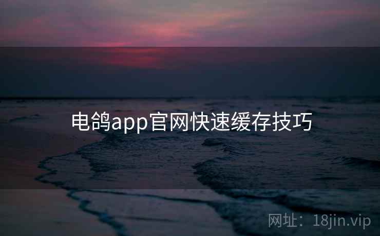 电鸽app官网快速缓存技巧
