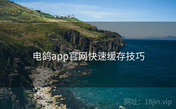 电鸽app官网快速缓存技巧