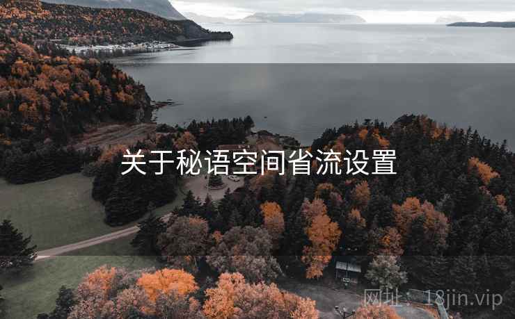 关于秘语空间省流设置