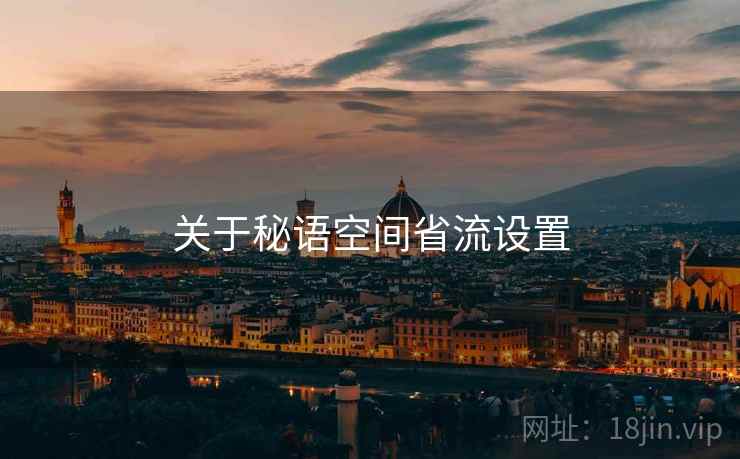 关于秘语空间省流设置