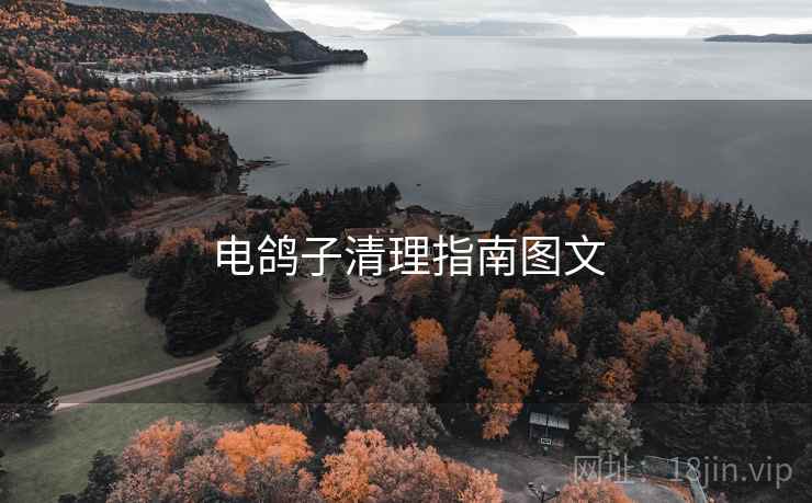 电鸽子清理指南图文