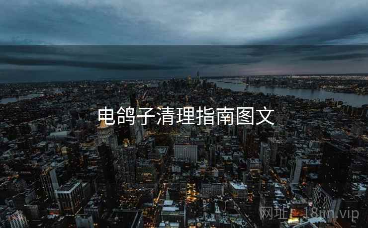 电鸽子清理指南图文