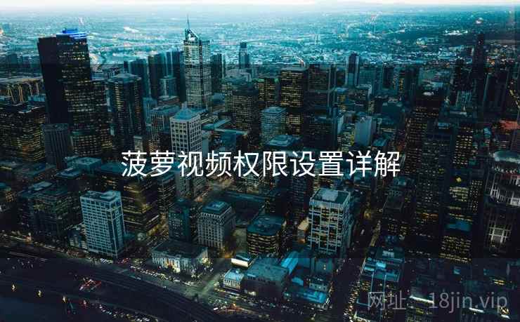 菠萝视频权限设置详解