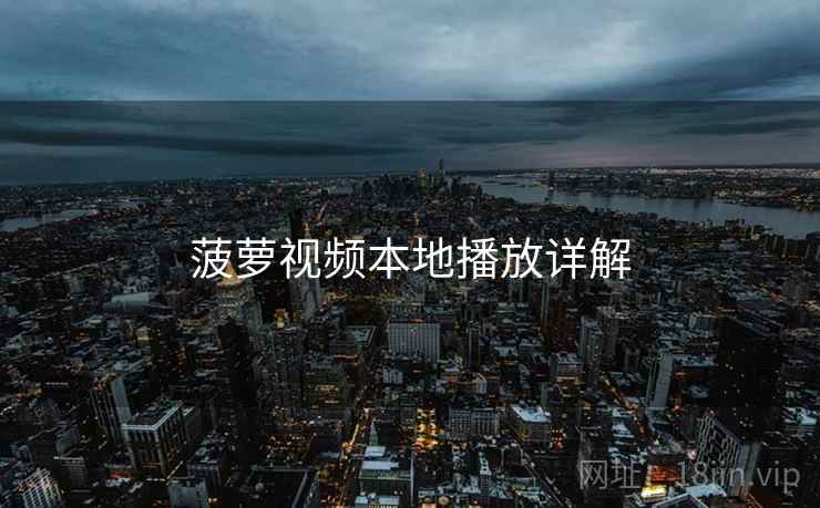 菠萝视频本地播放详解