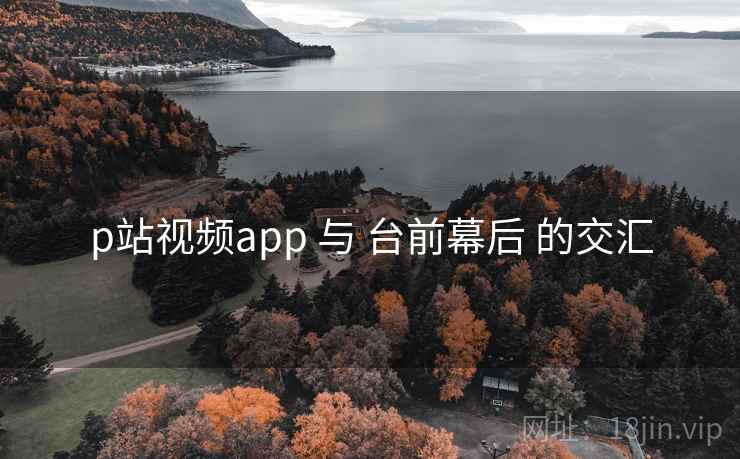 p站视频app 与 台前幕后 的交汇