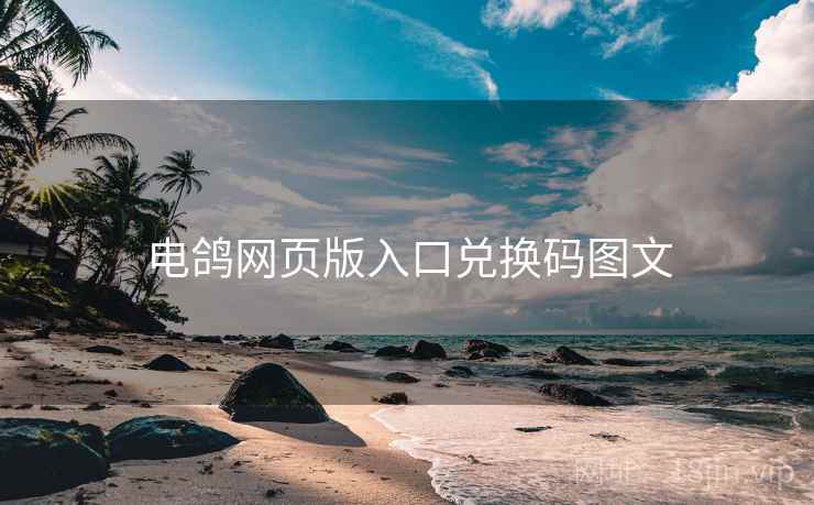 电鸽网页版入口兑换码图文