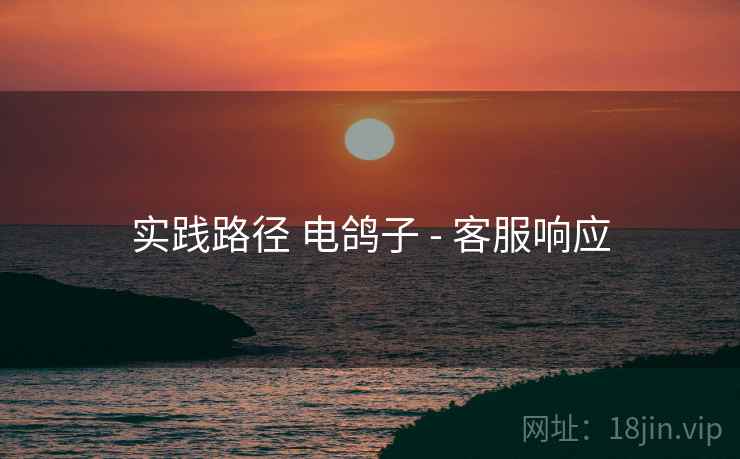 实践路径 电鸽子 - 客服响应