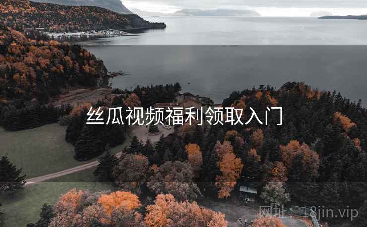 丝瓜视频福利领取入门