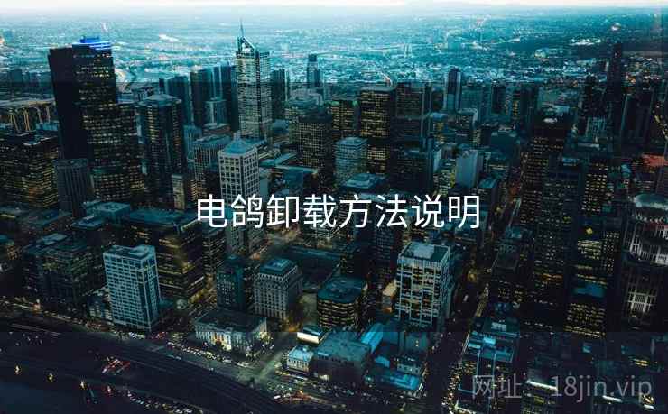 电鸽卸载方法说明