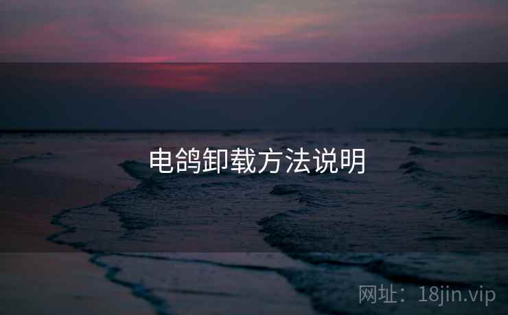 电鸽卸载方法说明