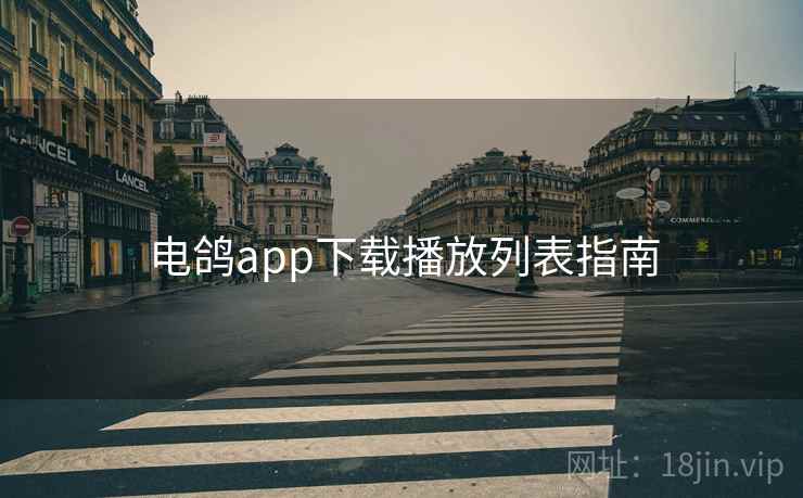 电鸽app下载播放列表指南